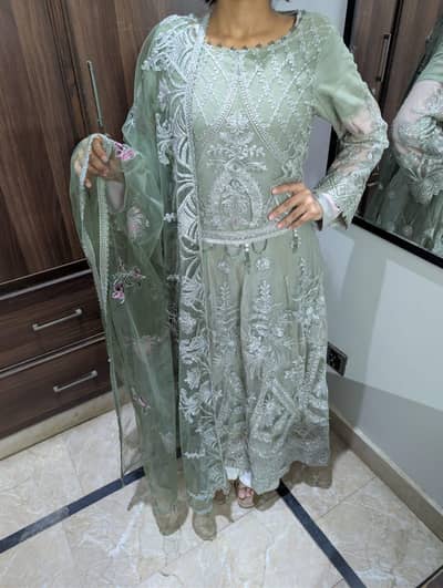 Sage / Mint Green Heavily Embroidered Fancy Net Maxi (3-Piece Set)