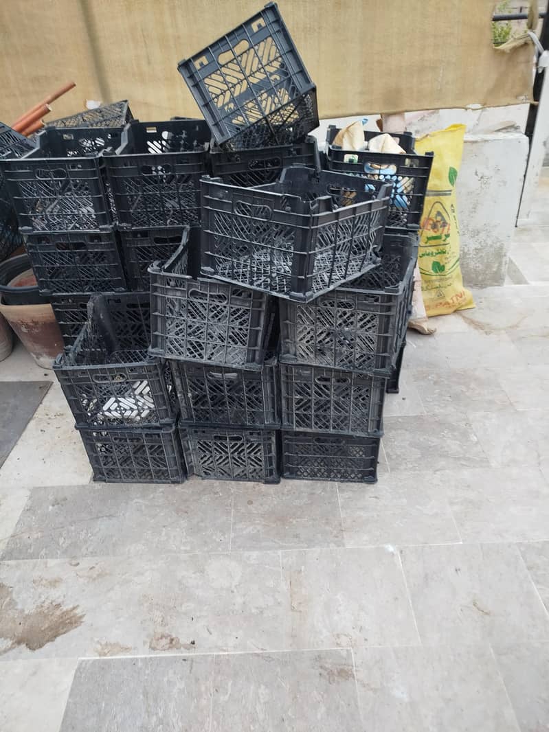multipurpose Plastic Baskets 1