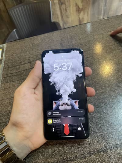 Apple iPhone XS Max