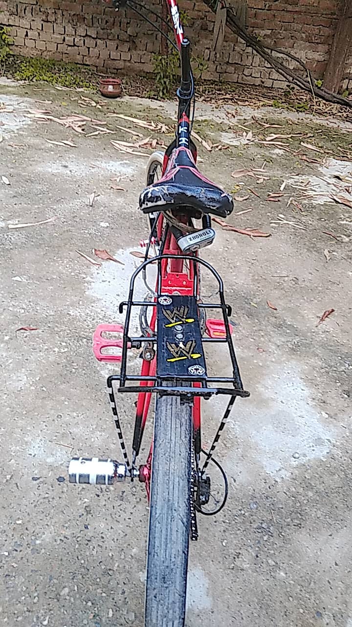 Cycle 0