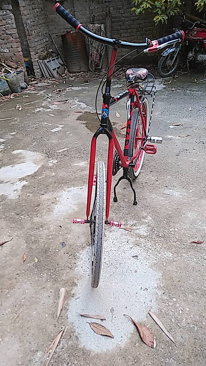 Cycle 1