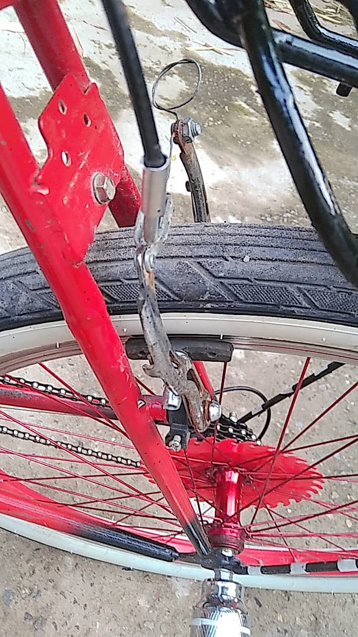 Cycle 4