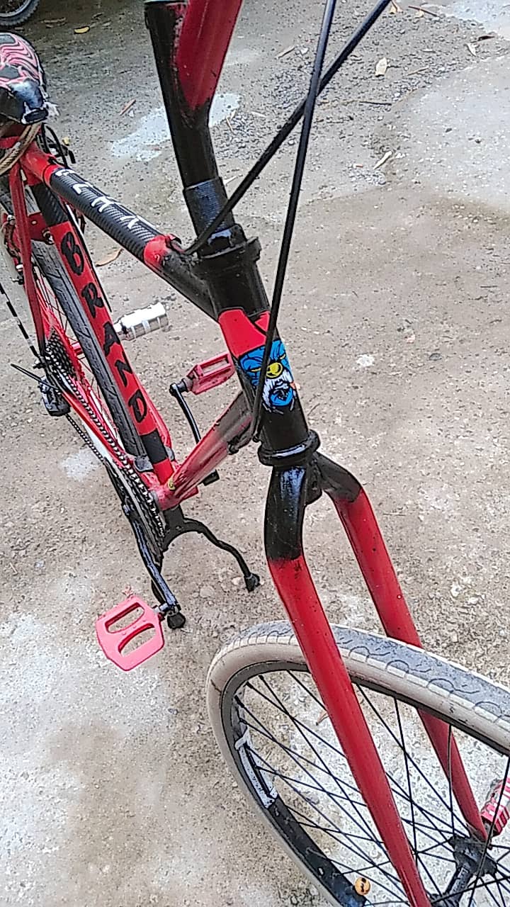 Cycle 5