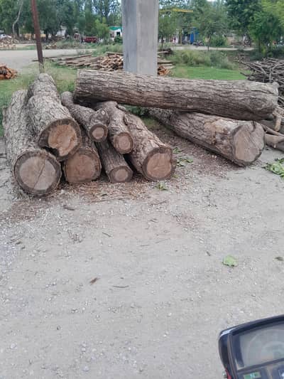 wood for sale