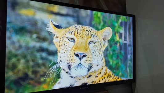 Ecostar 32 inch LED Android TV, 10/10 Condition