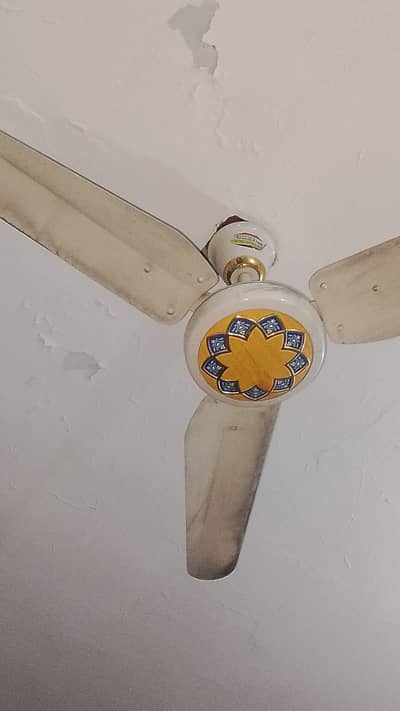 Ceiling fan