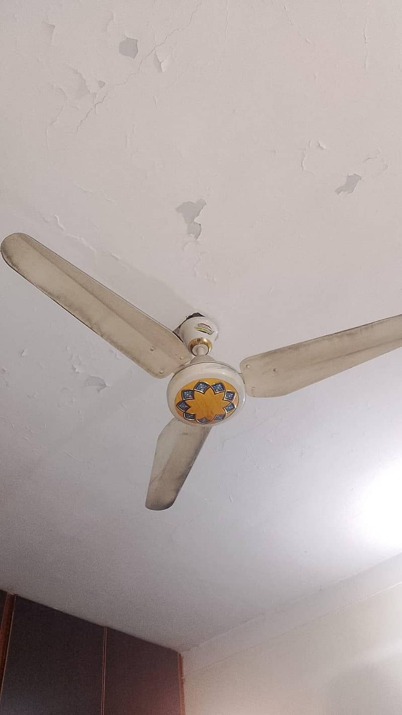 Ceiling fan 1
