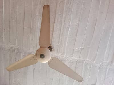 milat fan