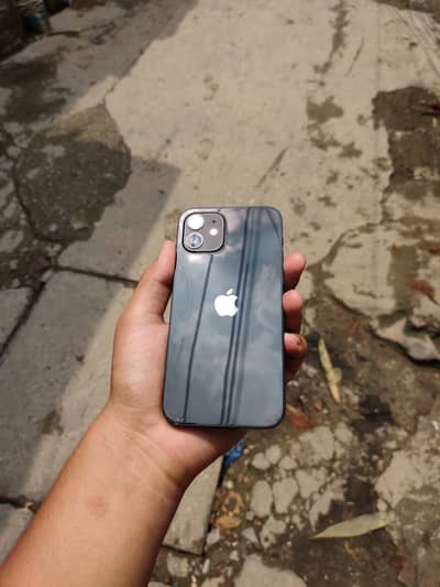Apple iPhone 12