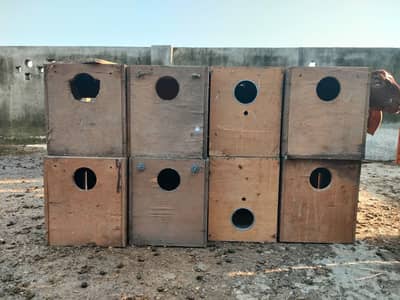 25 Wooden Bird Nesting Boxes | Bird Breeding Boxes | Used