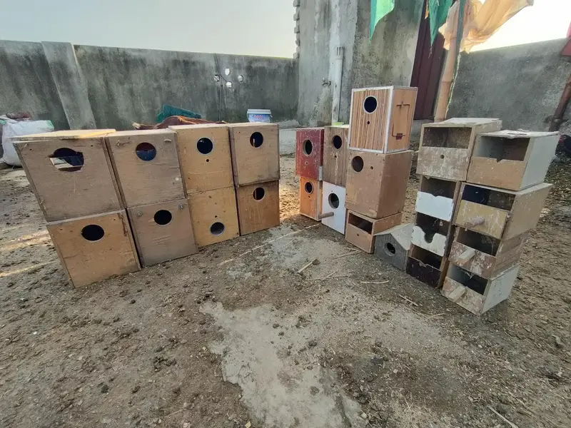 25 Wooden Bird Nesting Boxes | Bird Breeding Boxes | Used — photo 2