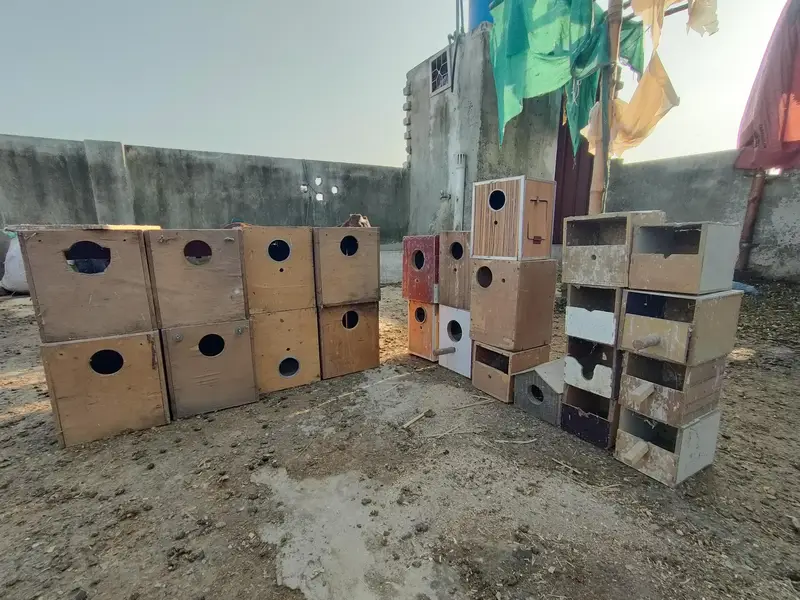 25 Wooden Bird Nesting Boxes | Bird Breeding Boxes | Used — photo 3