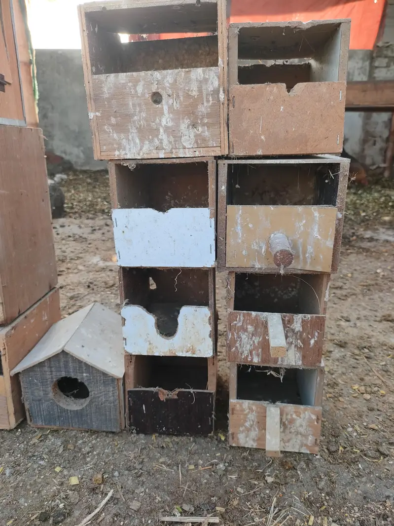 25 Wooden Bird Nesting Boxes | Bird Breeding Boxes | Used — photo 4