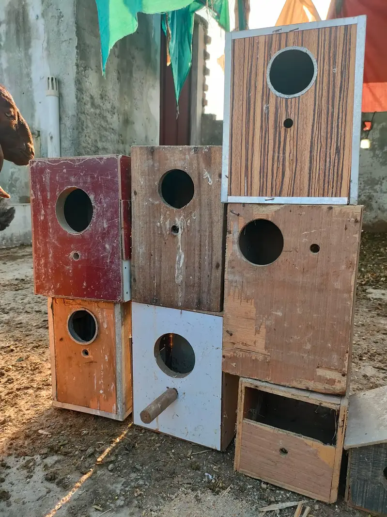 25 Wooden Bird Nesting Boxes | Bird Breeding Boxes | Used — photo 5
