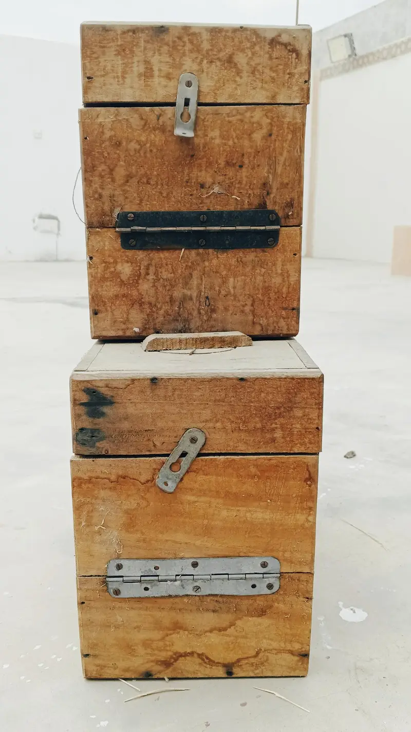 LOVEBIRD KEEKAR BOX — photo 3