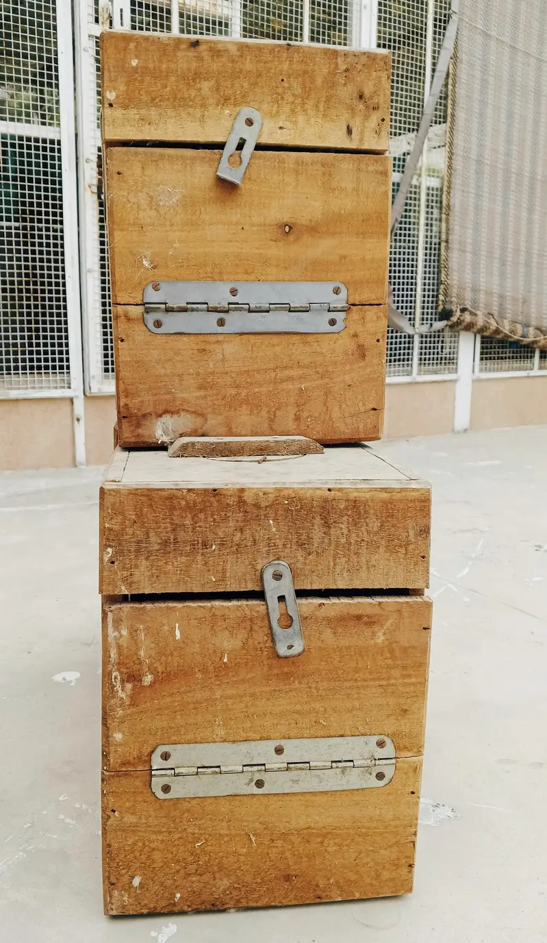 LOVEBIRD KEEKAR BOX — photo 4