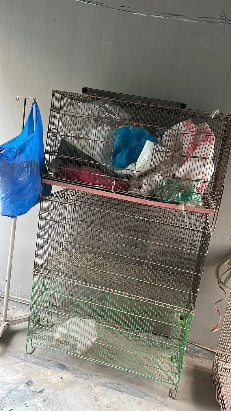 bird cages — photo 2