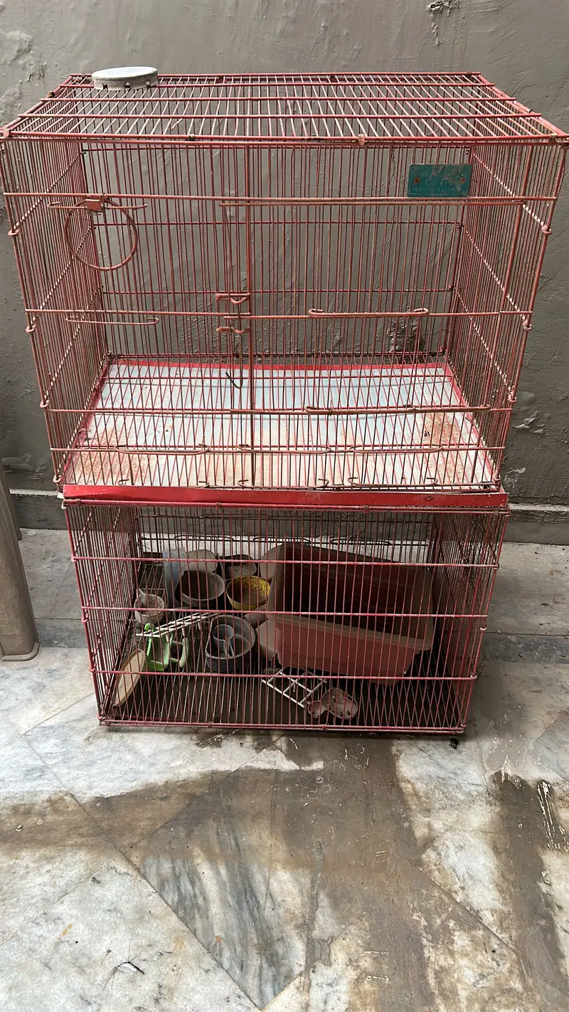 bird cages — photo 3