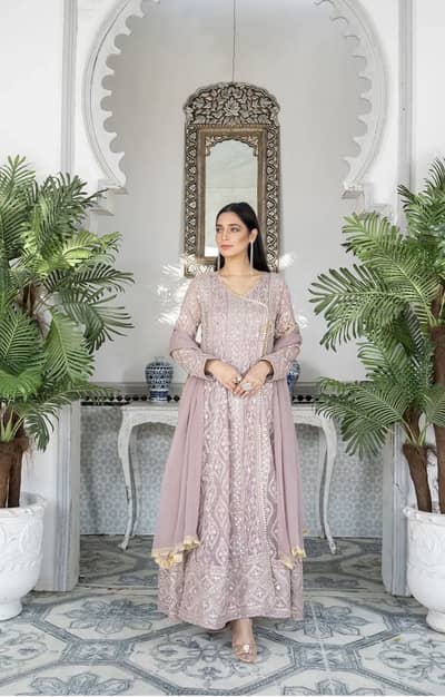 heavy lilac chiffon embroidery