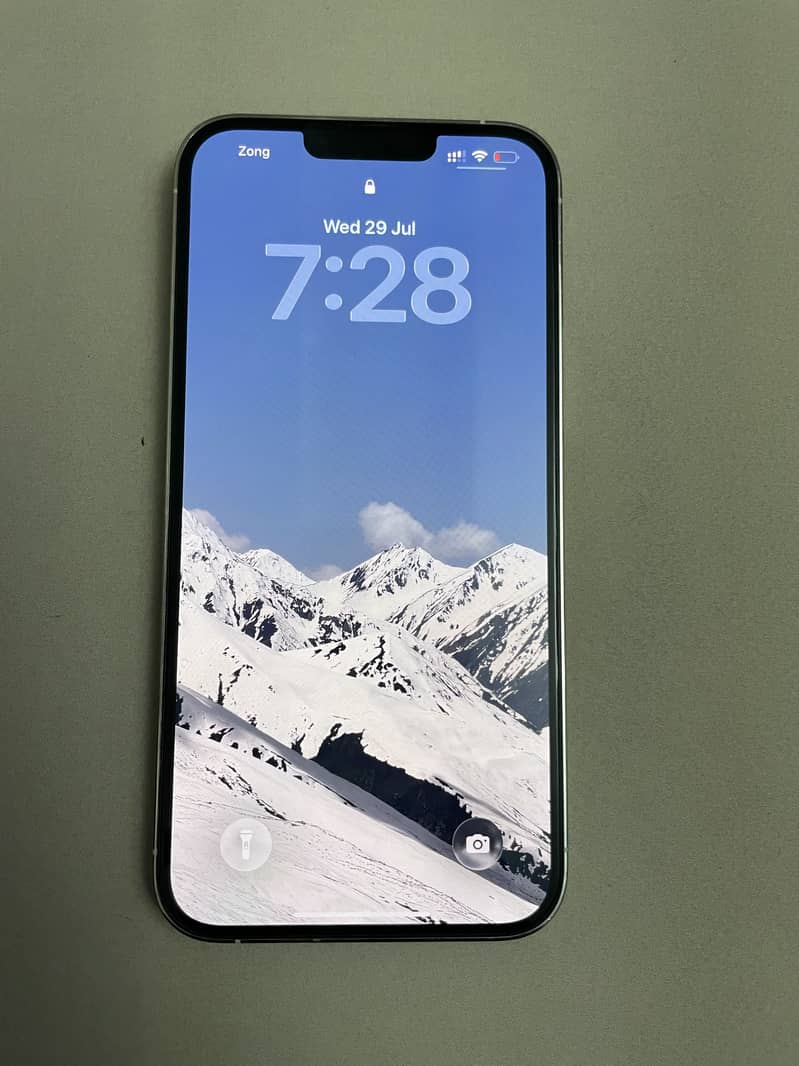 Apple iPhone 13 Pro Max 1