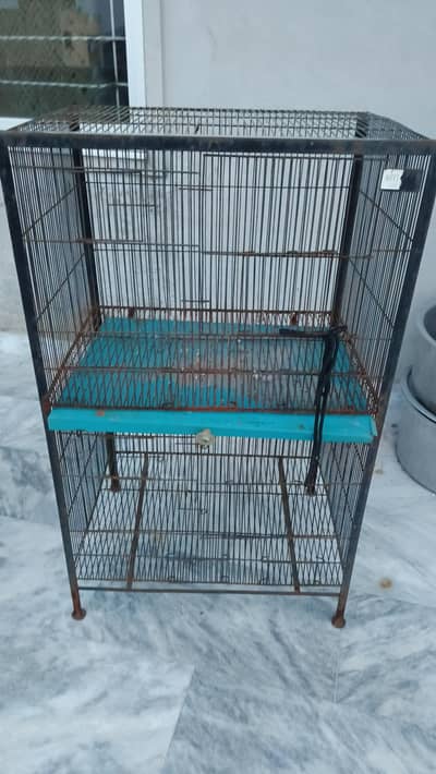 Pigeon/Chick's Iron Cage