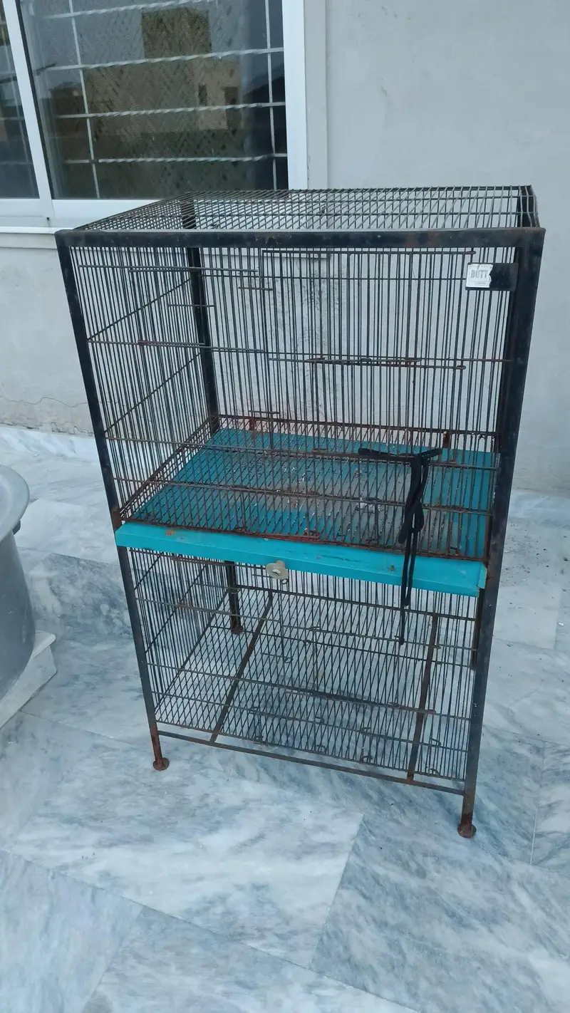 Pigeon/Chick's Iron Cage — photo 2