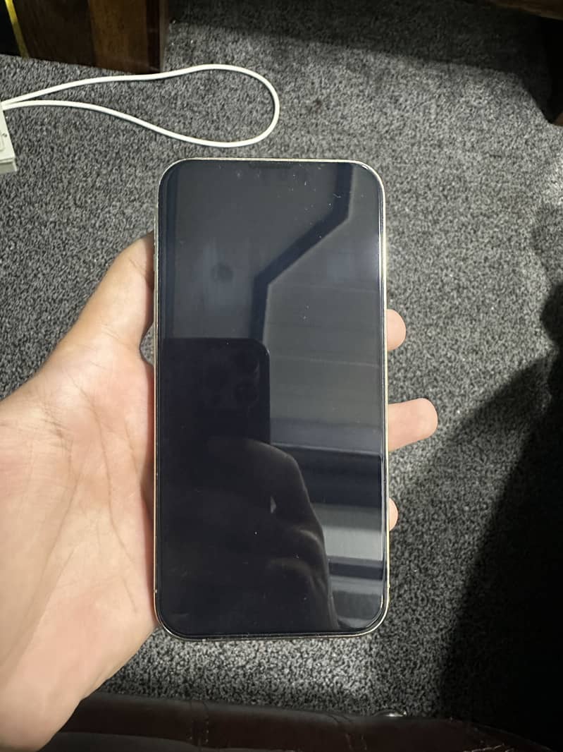 Apple iPhone 13 Pro 1