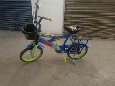 bicycle criuser Model