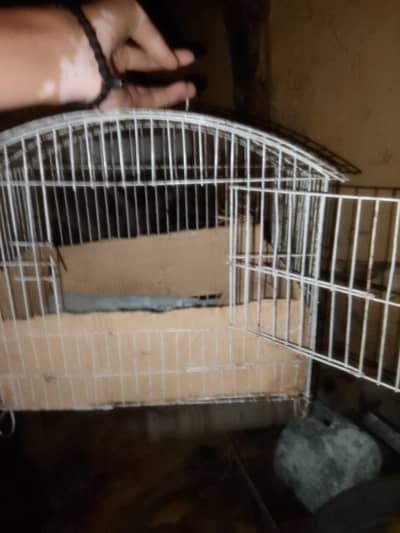 samal cage