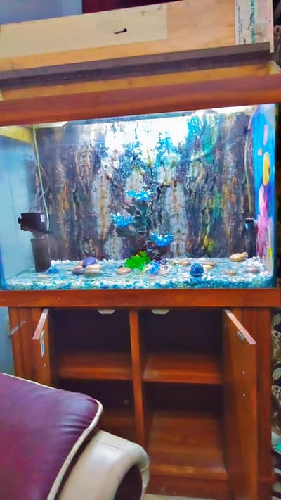 Fish Aquarium