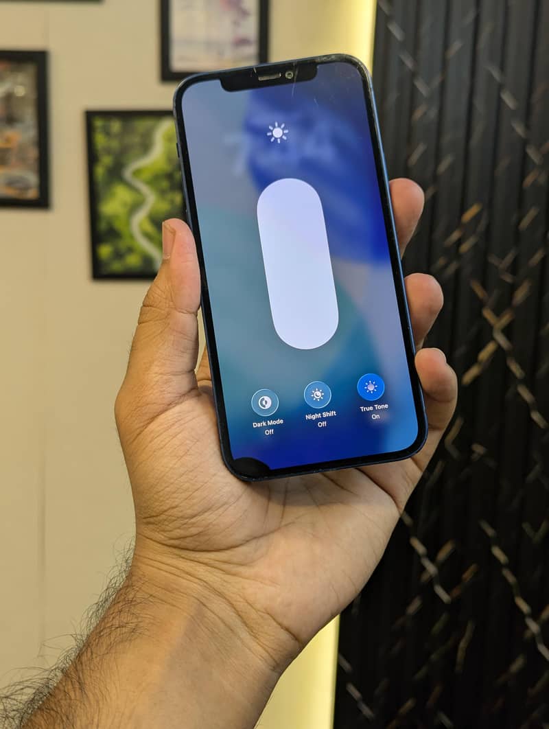 Apple iPhone 12 1