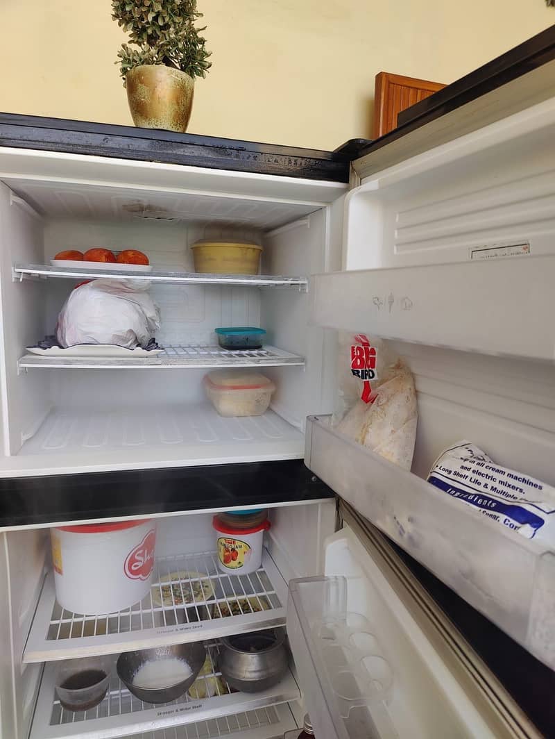 Pel refrigerator 4