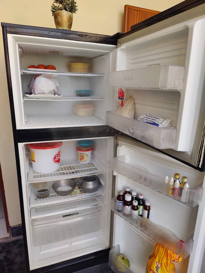 Pel refrigerator 5