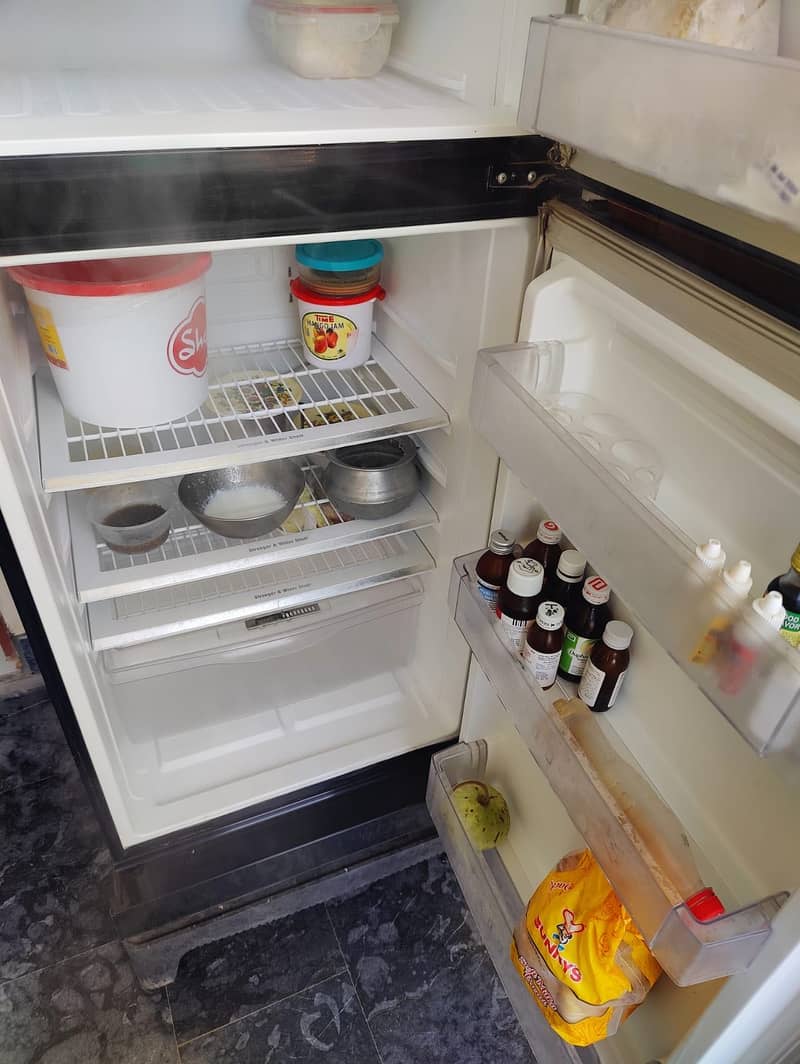 Pel refrigerator 6