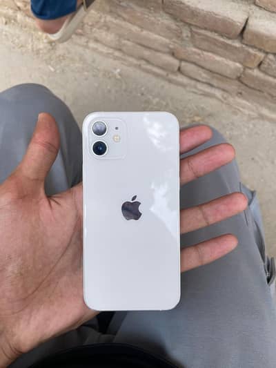 IPhone 12