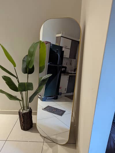 Full Length Mirror with Stand