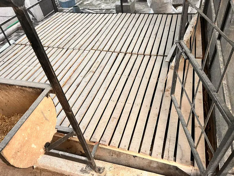 Pure Kikar Wood Pallet Floor best for Roof Top Goat Farming — photo 2