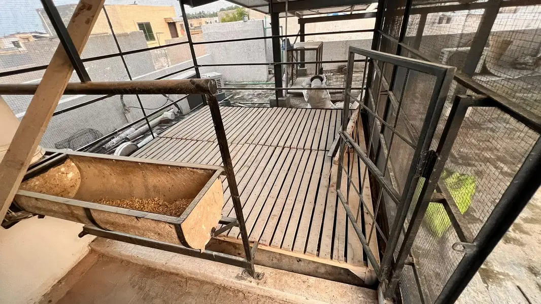 Pure Kikar Wood Pallet Floor best for Roof Top Goat Farming — photo 4