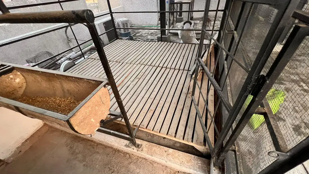 Pure Kikar Wood Pallet Floor best for Roof Top Goat Farming — photo 5