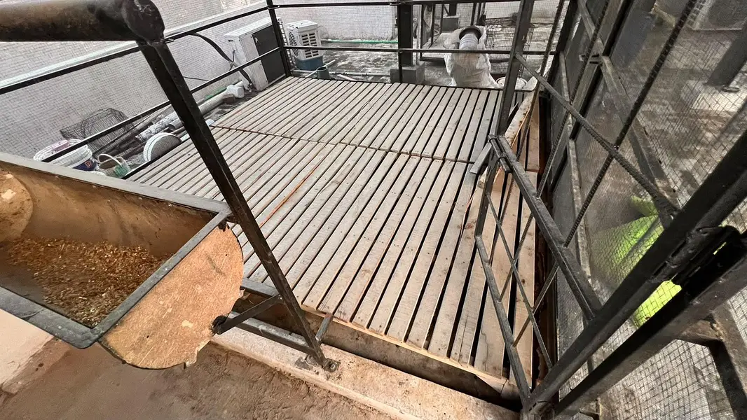 Pure Kikar Wood Pallet Floor best for Roof Top Goat Farming — photo 6