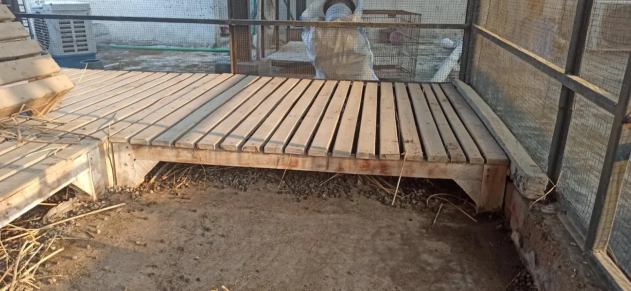 Pure Kikar Wood Pallet Floor best for Roof Top Goat Farming — photo 8