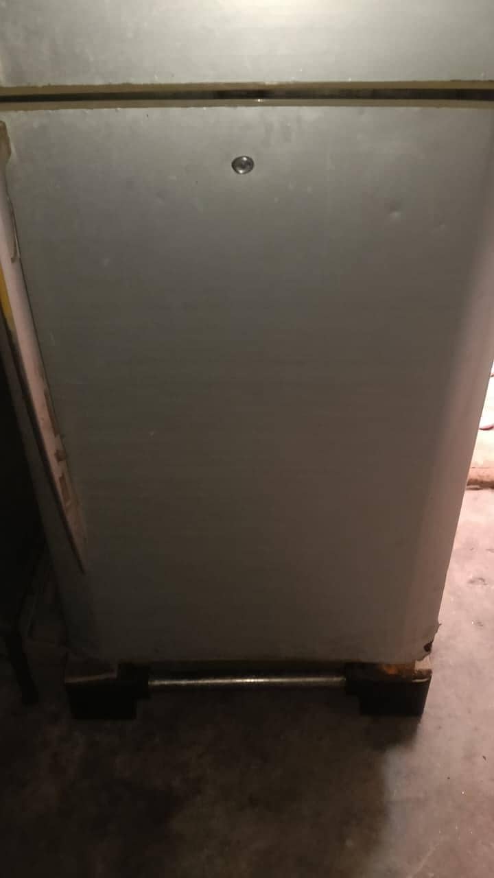 pel Medium size 1