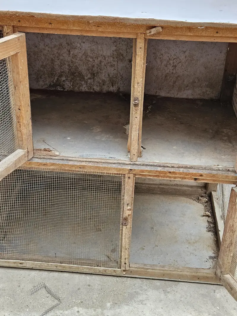 big cage — photo 5