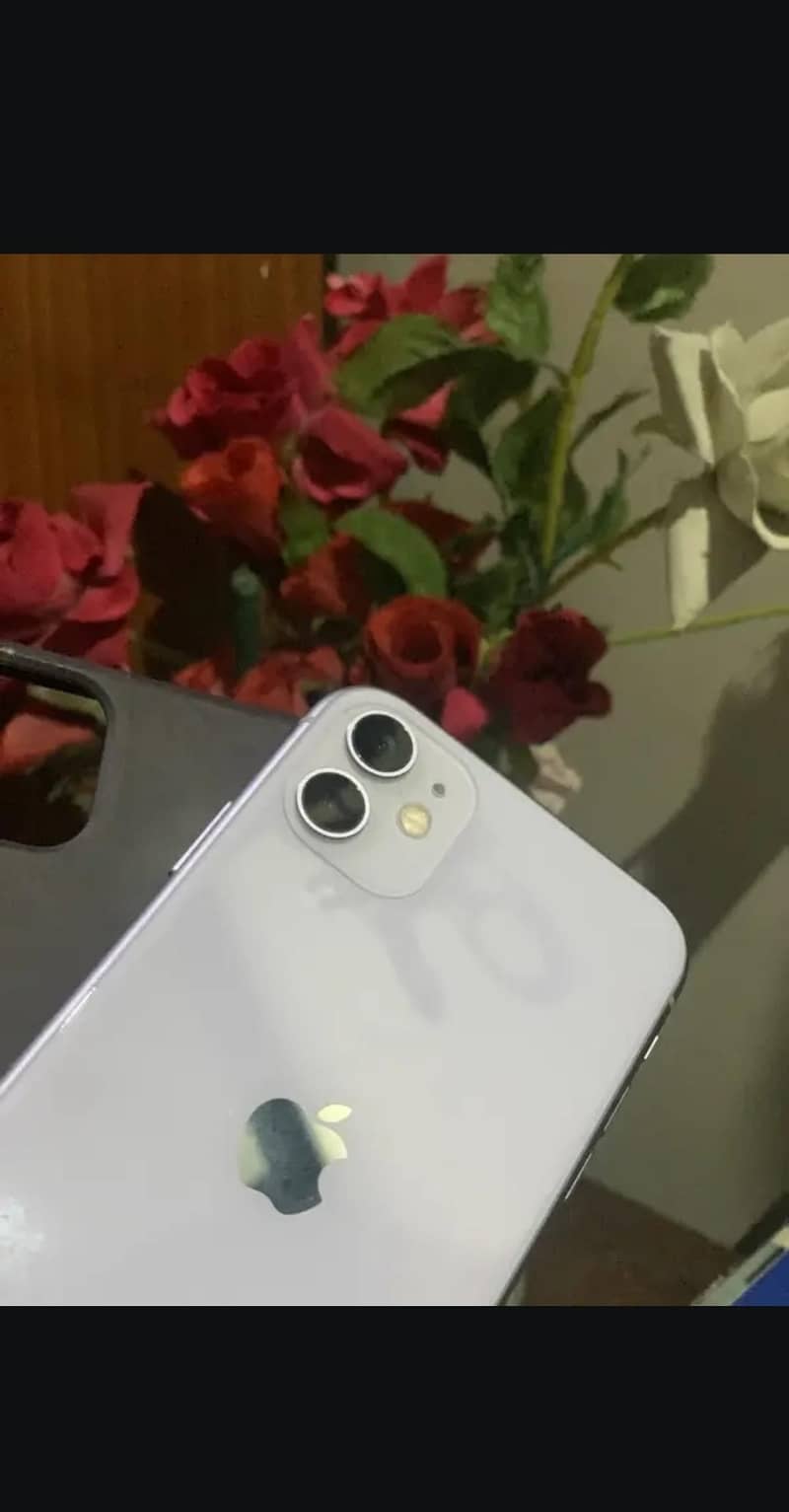 Apple iPhone 11 0