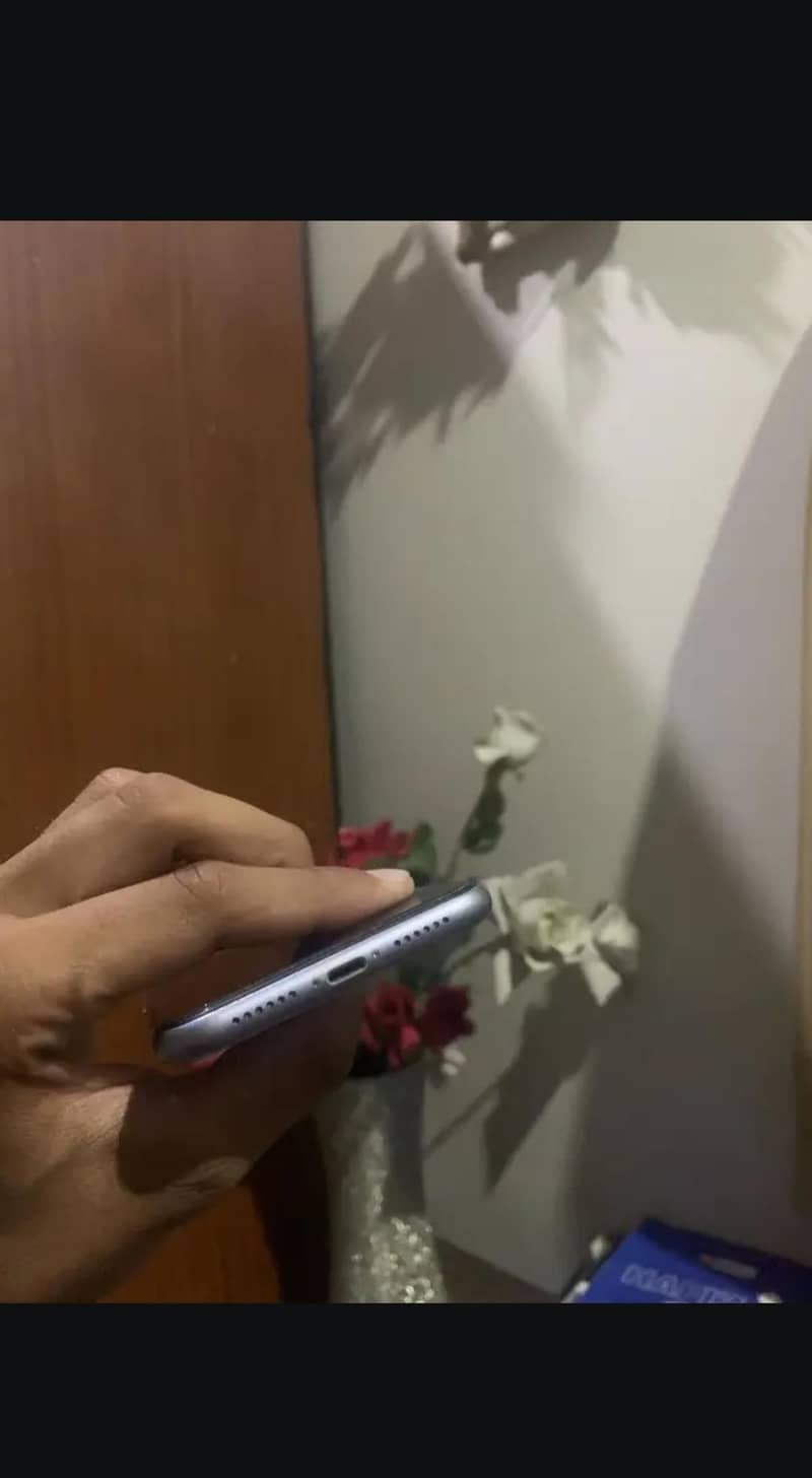 Apple iPhone 11 3