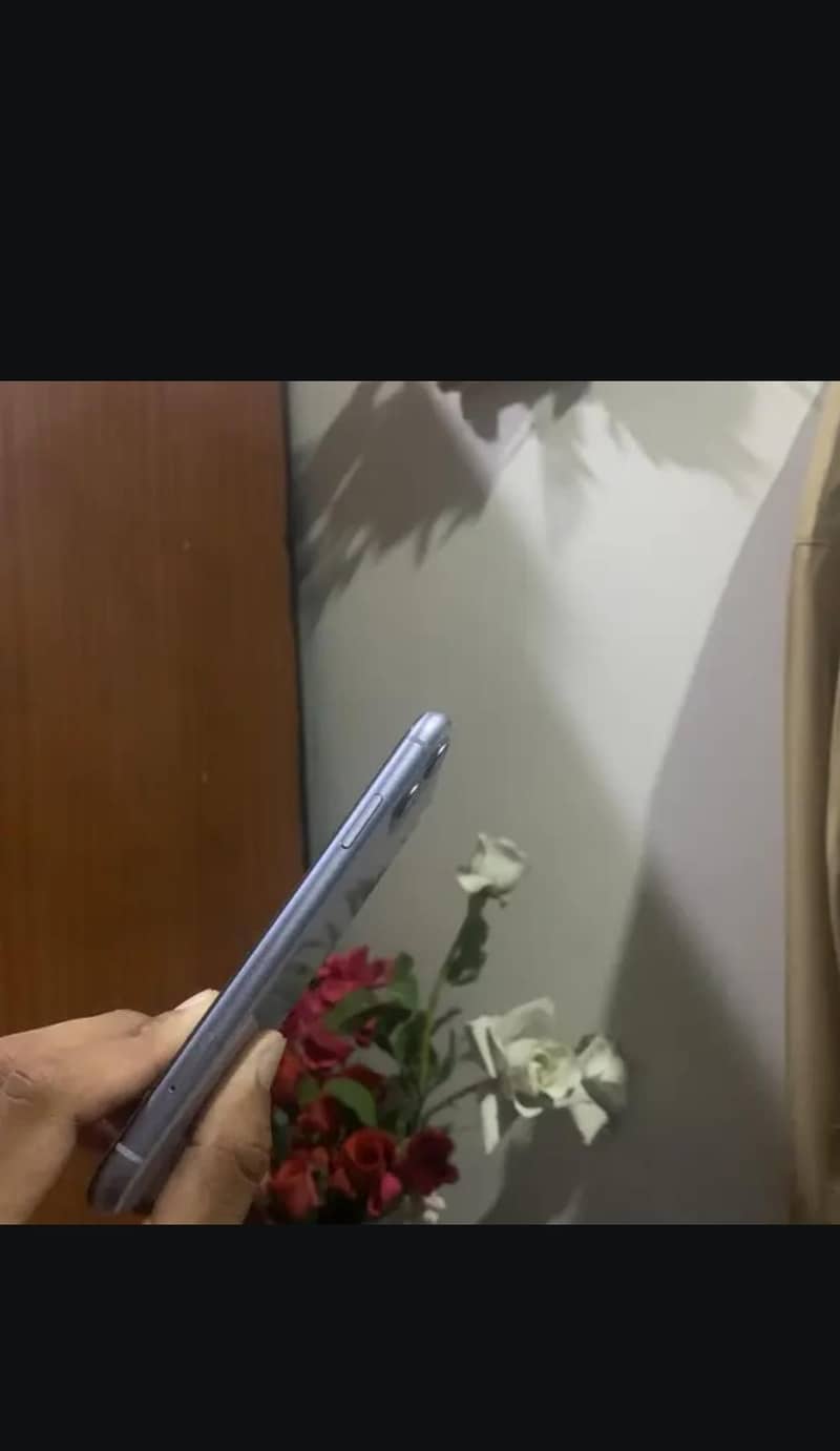 Apple iPhone 11 4