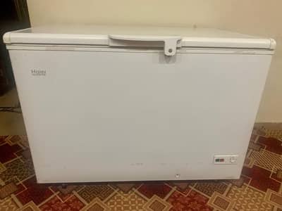Haier freezer