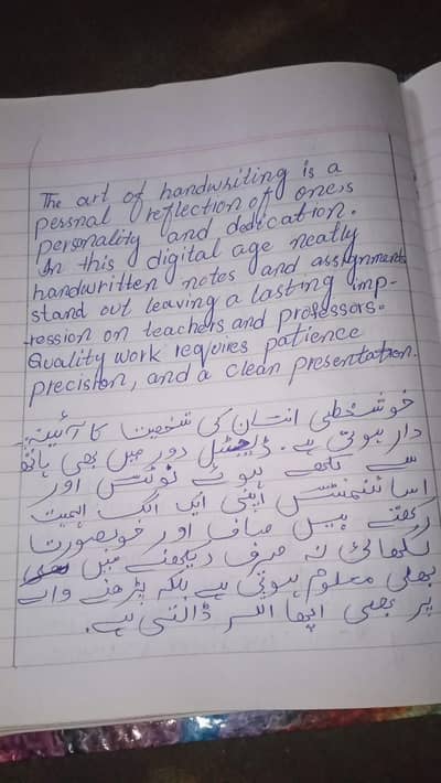 hand writing assignment work