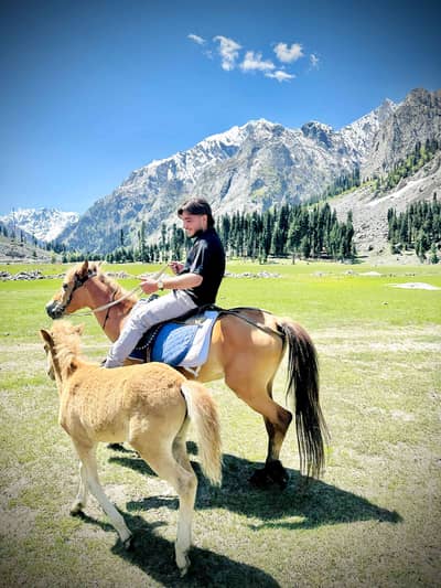 Mohammad Shoaib Khan