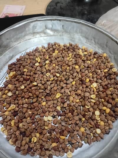 gandun + kala chana gul zealpak society